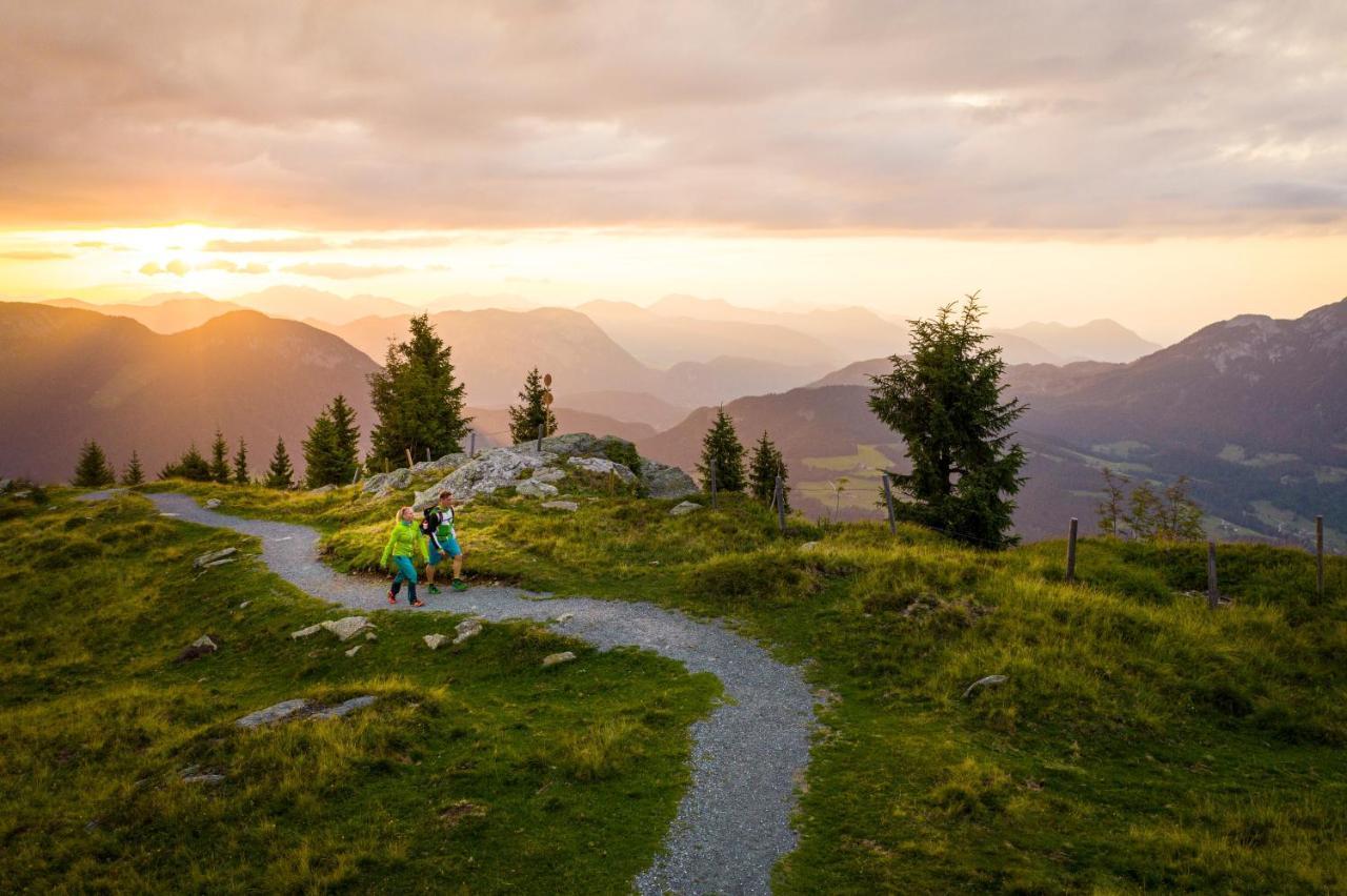 Mountain Fresh - Alpine Easy Söll